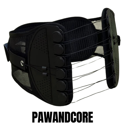 PawandCore Belt