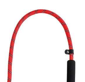 Pet supplies dog leash