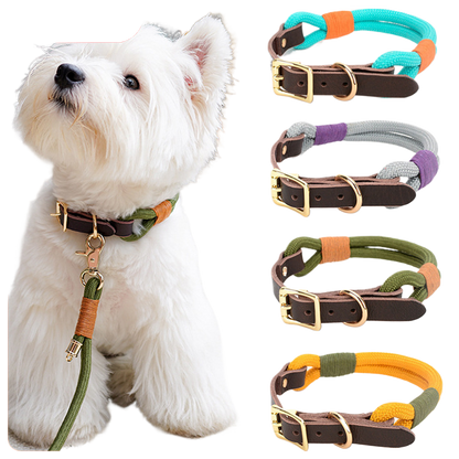 MOQ:300 Adjustable Pet Leash and Collar