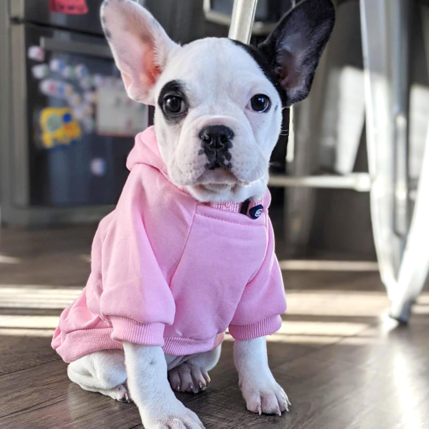 Winter Dog Hoodie Sweatshirts with Pockets Warm Dog Clothes for Small Dogs Chihuahua Coat Clothing Puppy Cat Custume (Pink, X-Small)