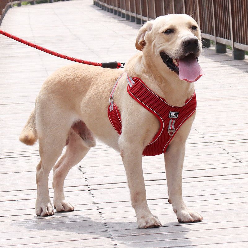Adjustable Reflective Dog Harness Leash