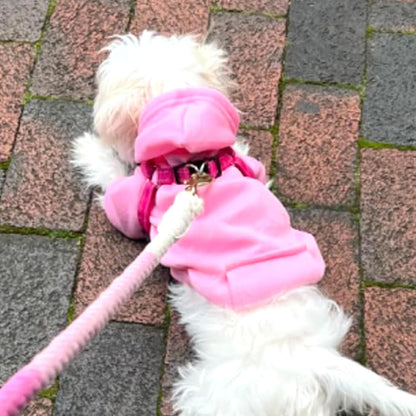 Winter Dog Hoodie Sweatshirts with Pockets Warm Dog Clothes for Small Dogs Chihuahua Coat Clothing Puppy Cat Custume (Pink, X-Small)