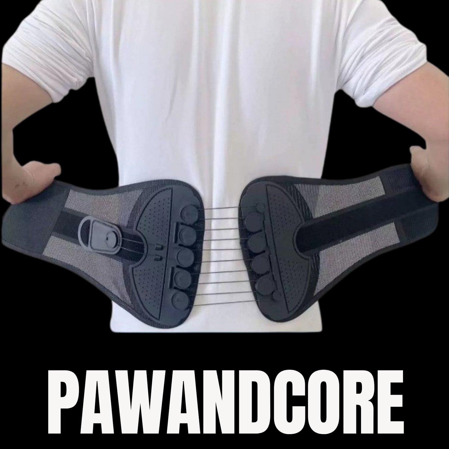 PawandCore Belt