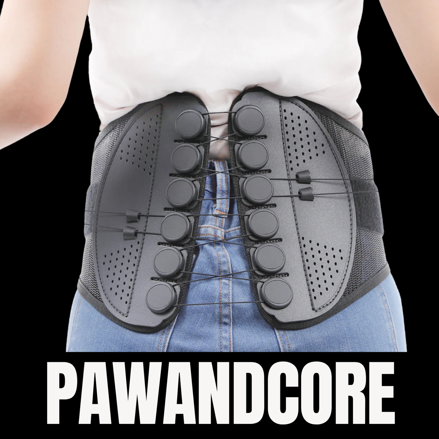 PawandCore Belt