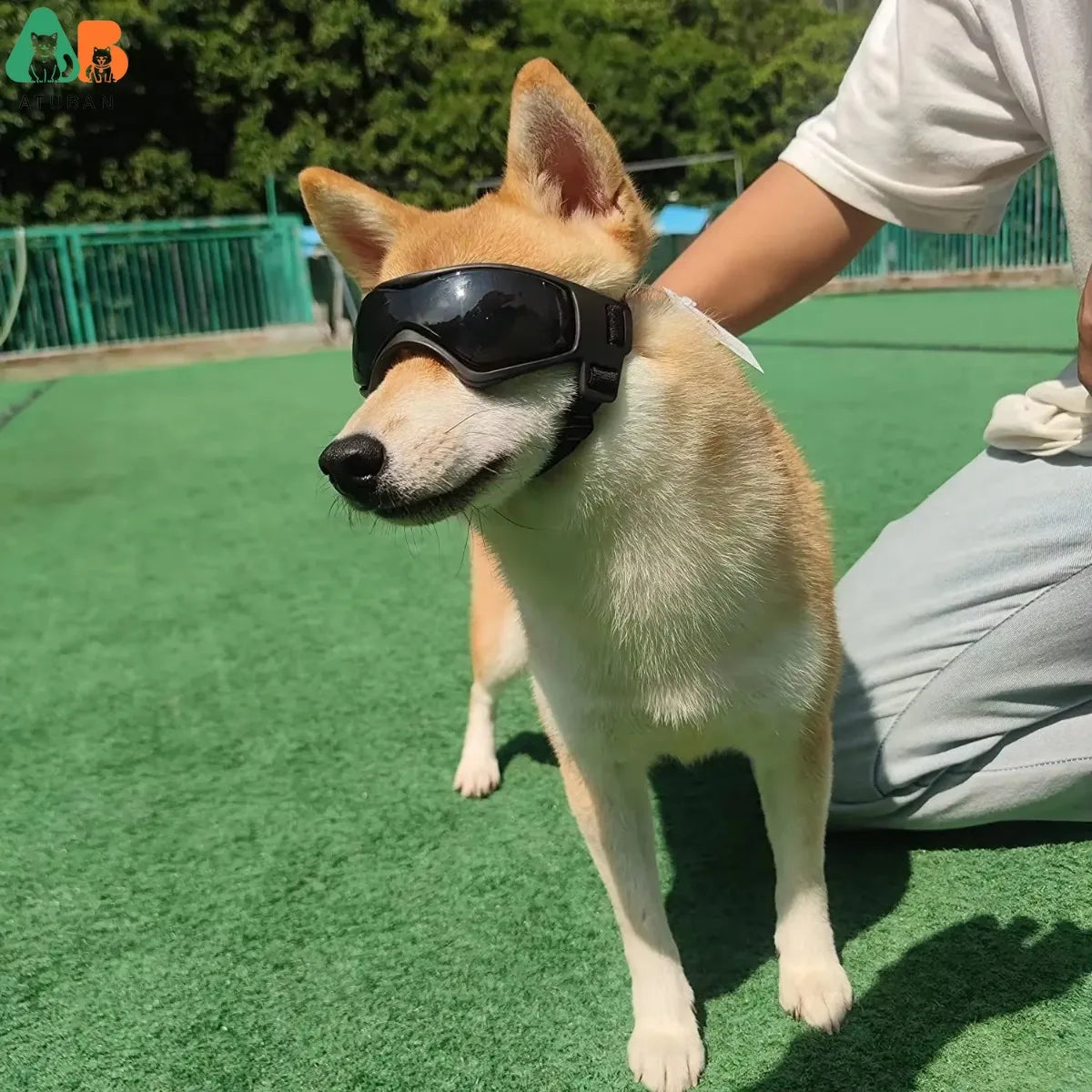 Dog Goggles Small Breed, Dog Sunglasses for Small Breed UV Protection Eyewear for Small Dog Puppy Outdoor Riding Driving