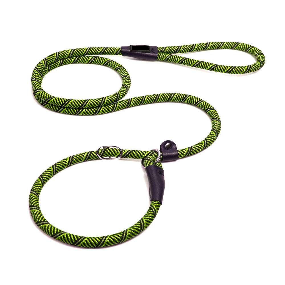 Pet supplies dog leash