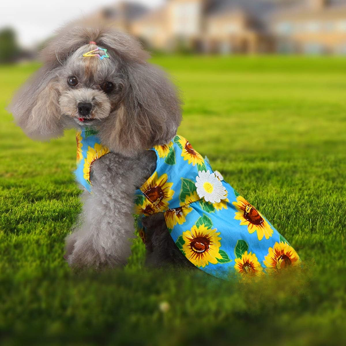 Dog Dresses for Small Dogs Sunflower Print Small Dog Dress Puppy Dress Dog Apparel Dog Cloth for Small Dog Girls (L(13.2-16.5Lb))