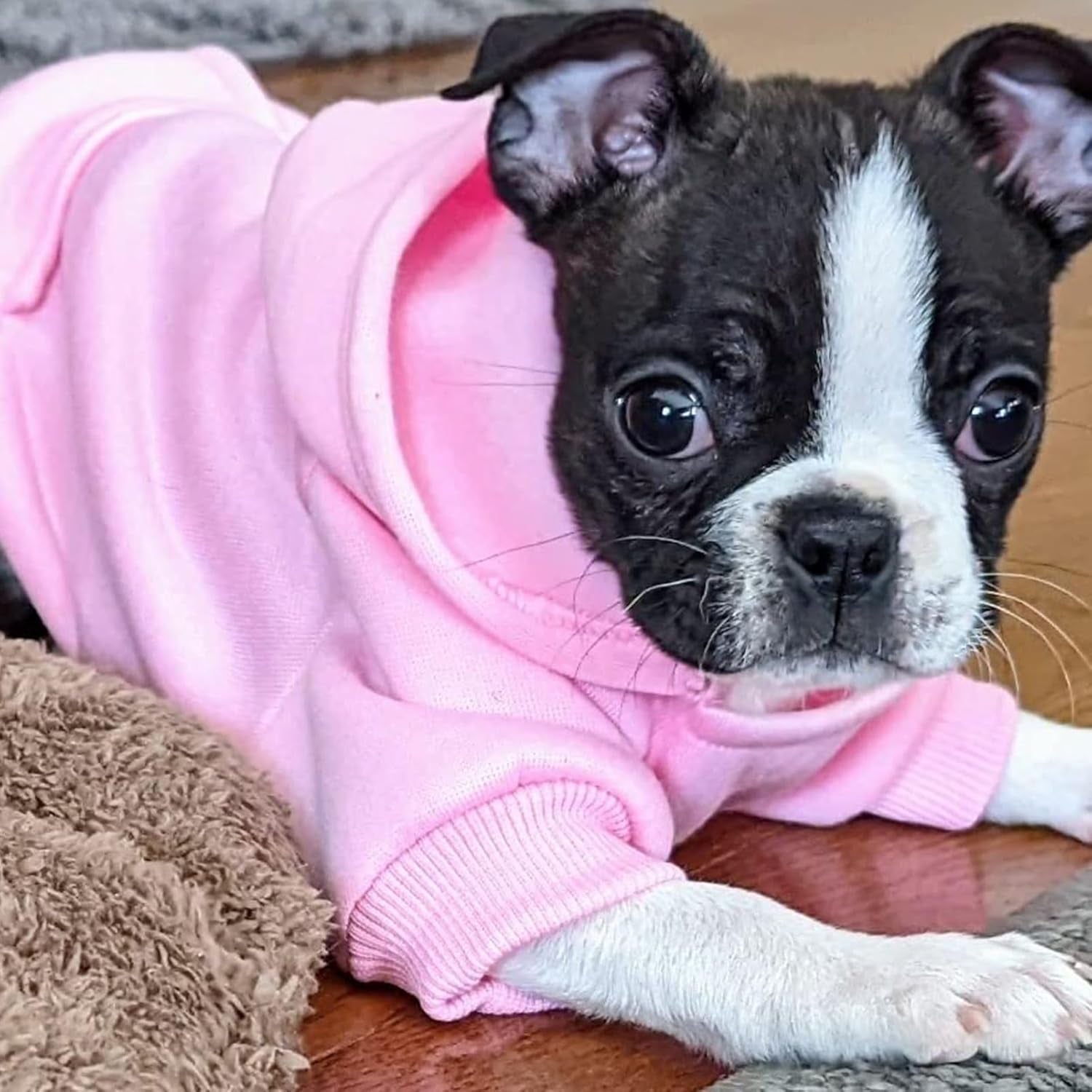Winter Dog Hoodie Sweatshirts with Pockets Warm Dog Clothes for Small Dogs Chihuahua Coat Clothing Puppy Cat Custume (Pink, X-Small)