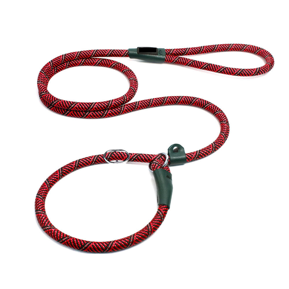 Pet supplies dog leash