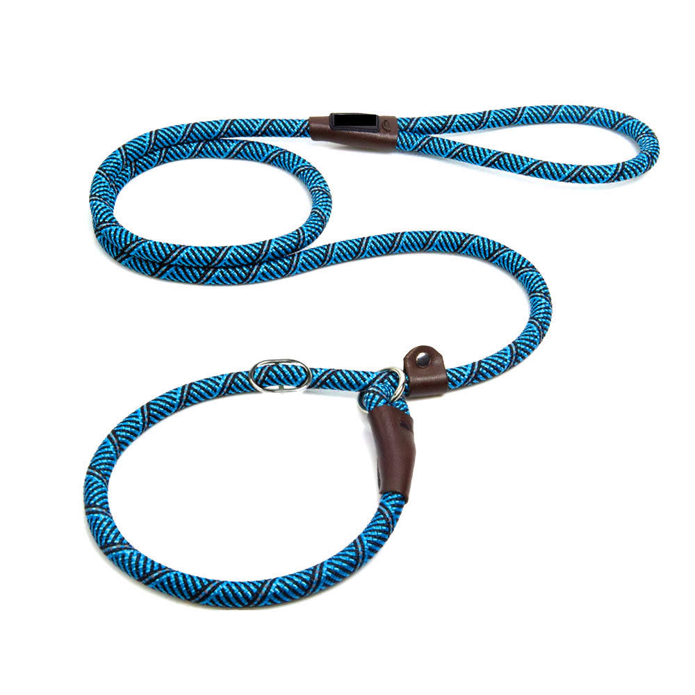 Pet supplies dog leash