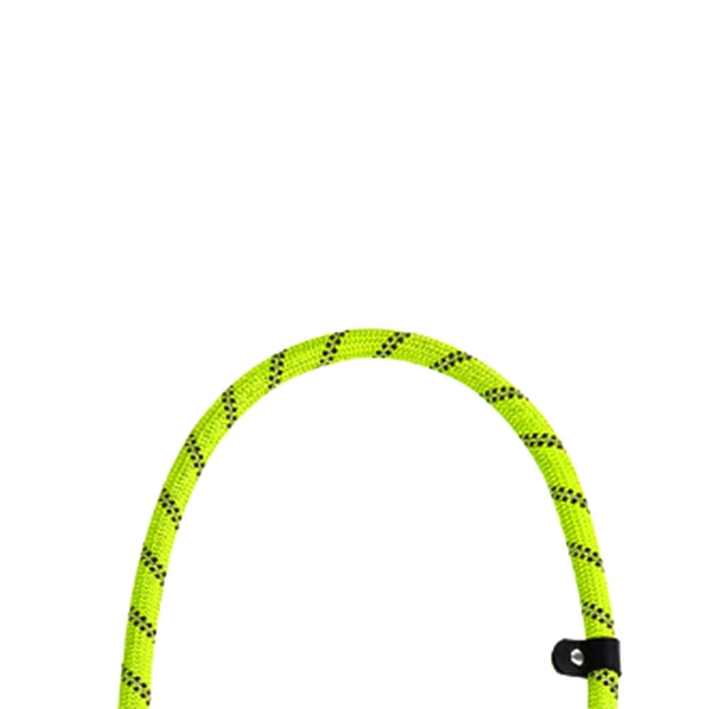 Pet supplies dog leash