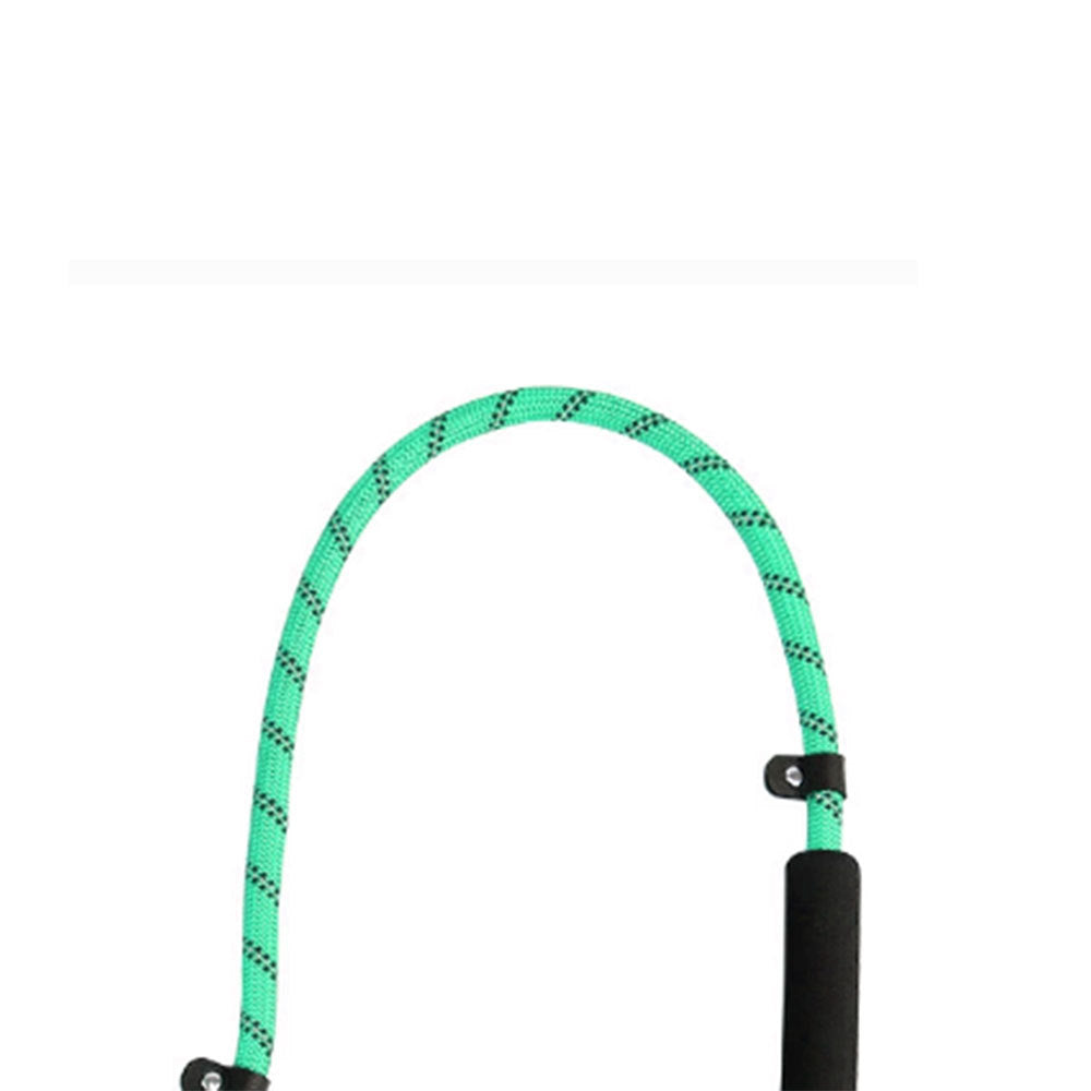Pet supplies dog leash
